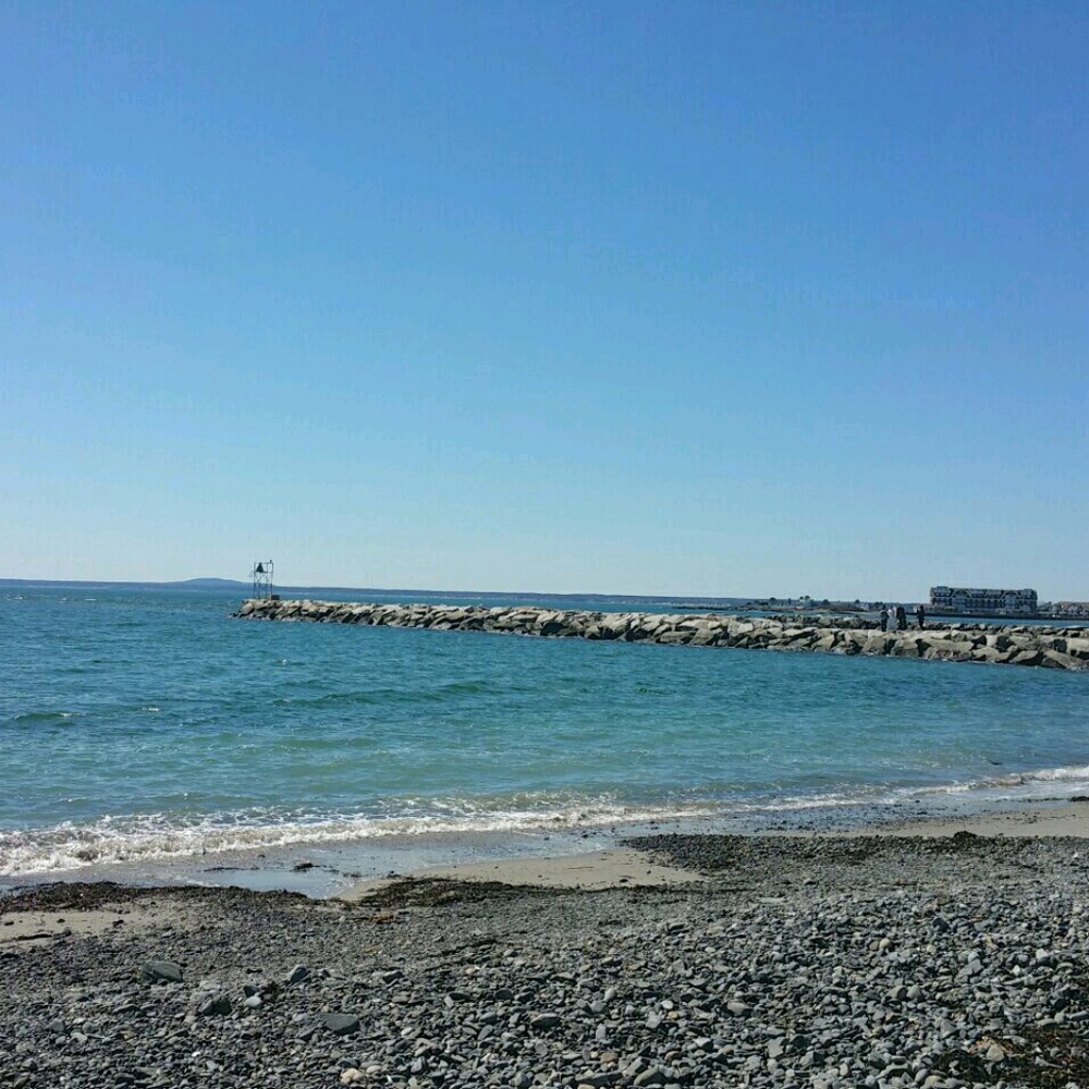 Meet your Posher, Gretchen